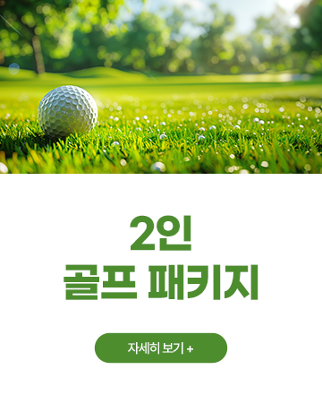 2인 골프 패키지